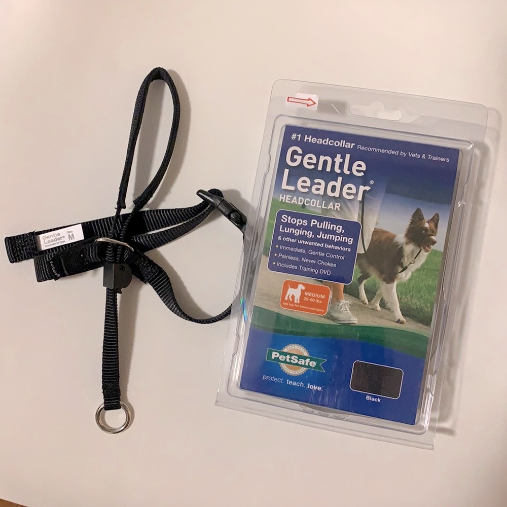 Head Halter Dog Collar